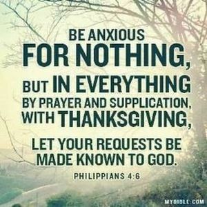 Meet your Posher, Isabella